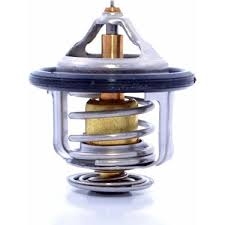 Termostat Nedir